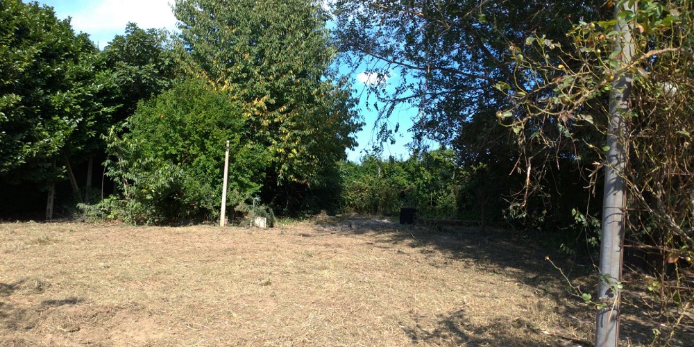 Un terreno, mille possibilità: 2.600 mq con capannone pronti per il tuo progetto